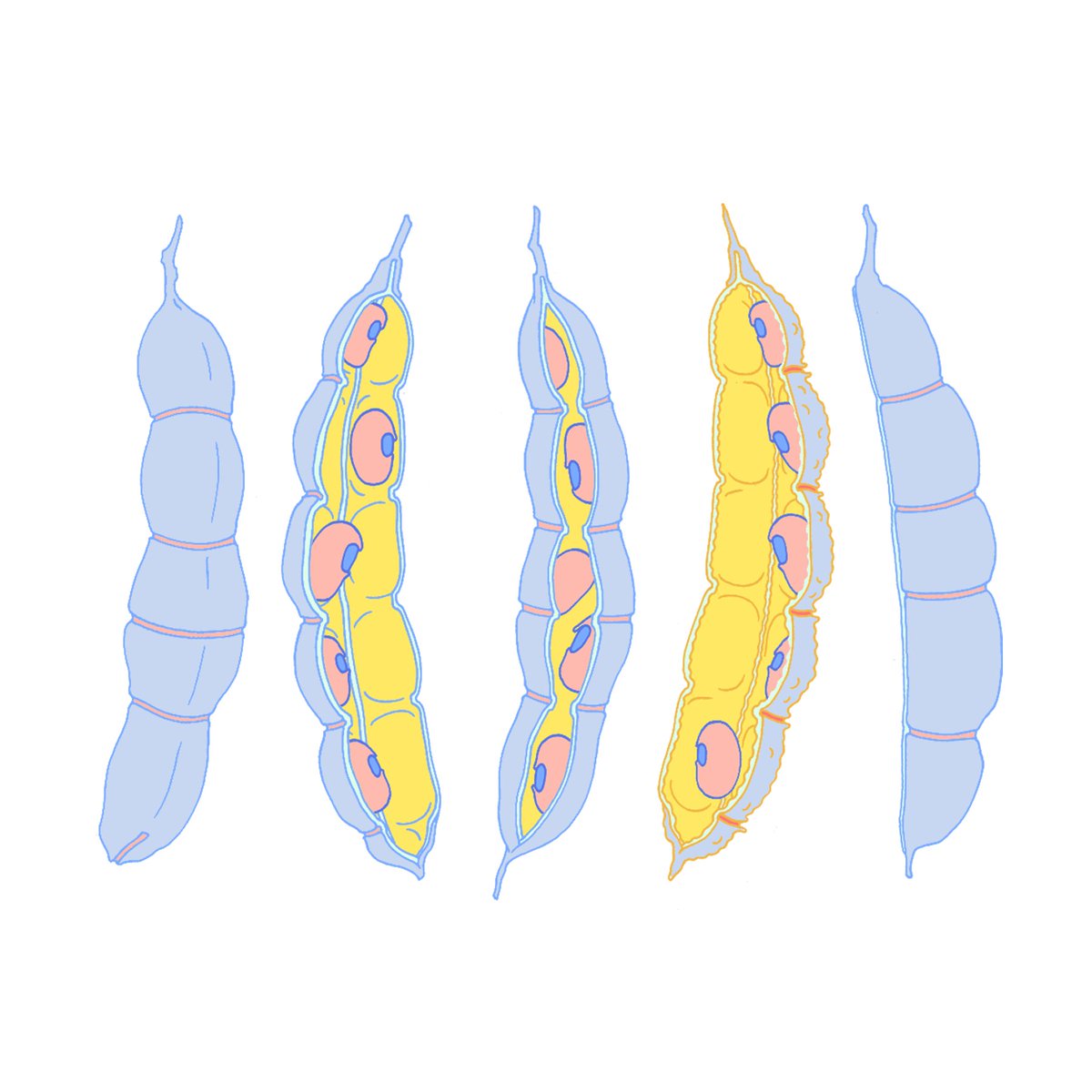 The Explorer's Guide to Biology tweet media