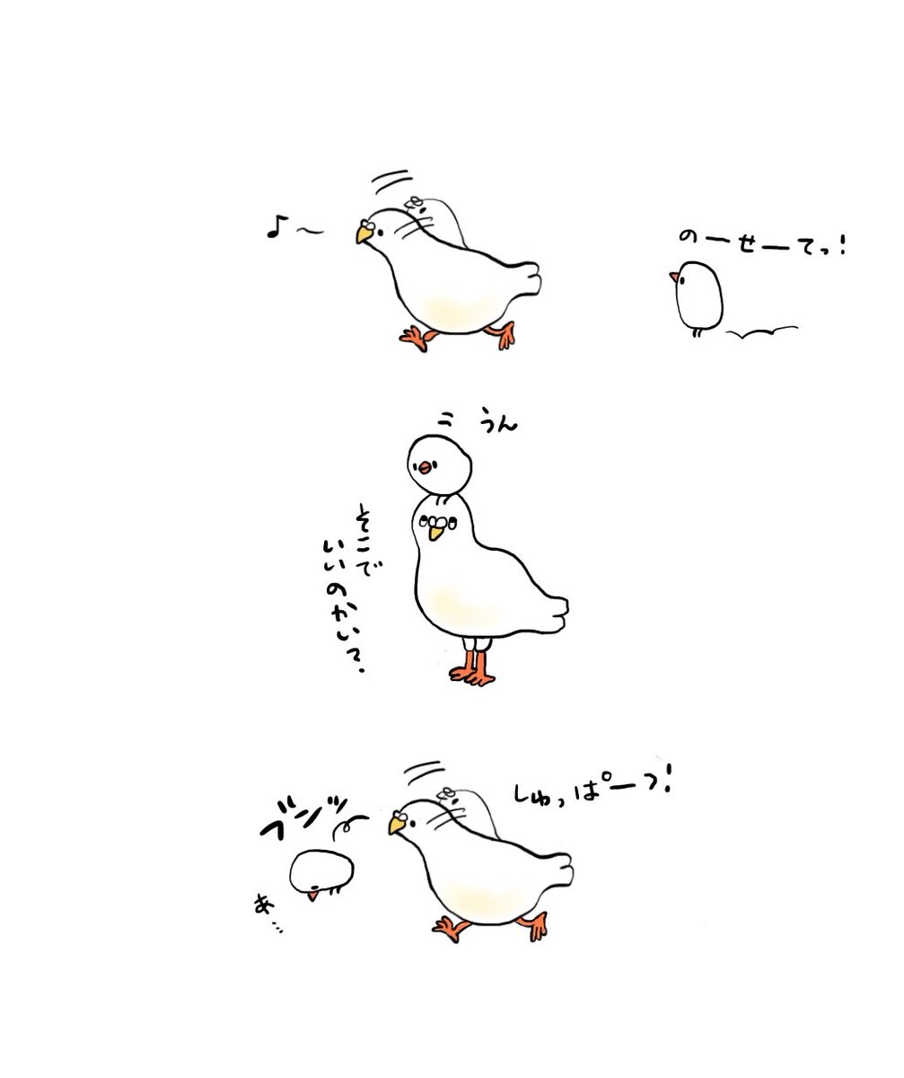 鳩とぶんちょ 