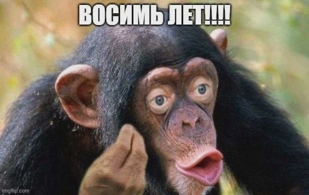 bildja tweet picture