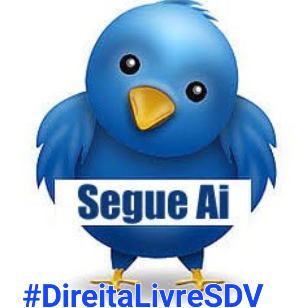 ( Bia Lemann) Guerreira DE BOLSONARO (@beatrizquadro12) on Twitter photo 