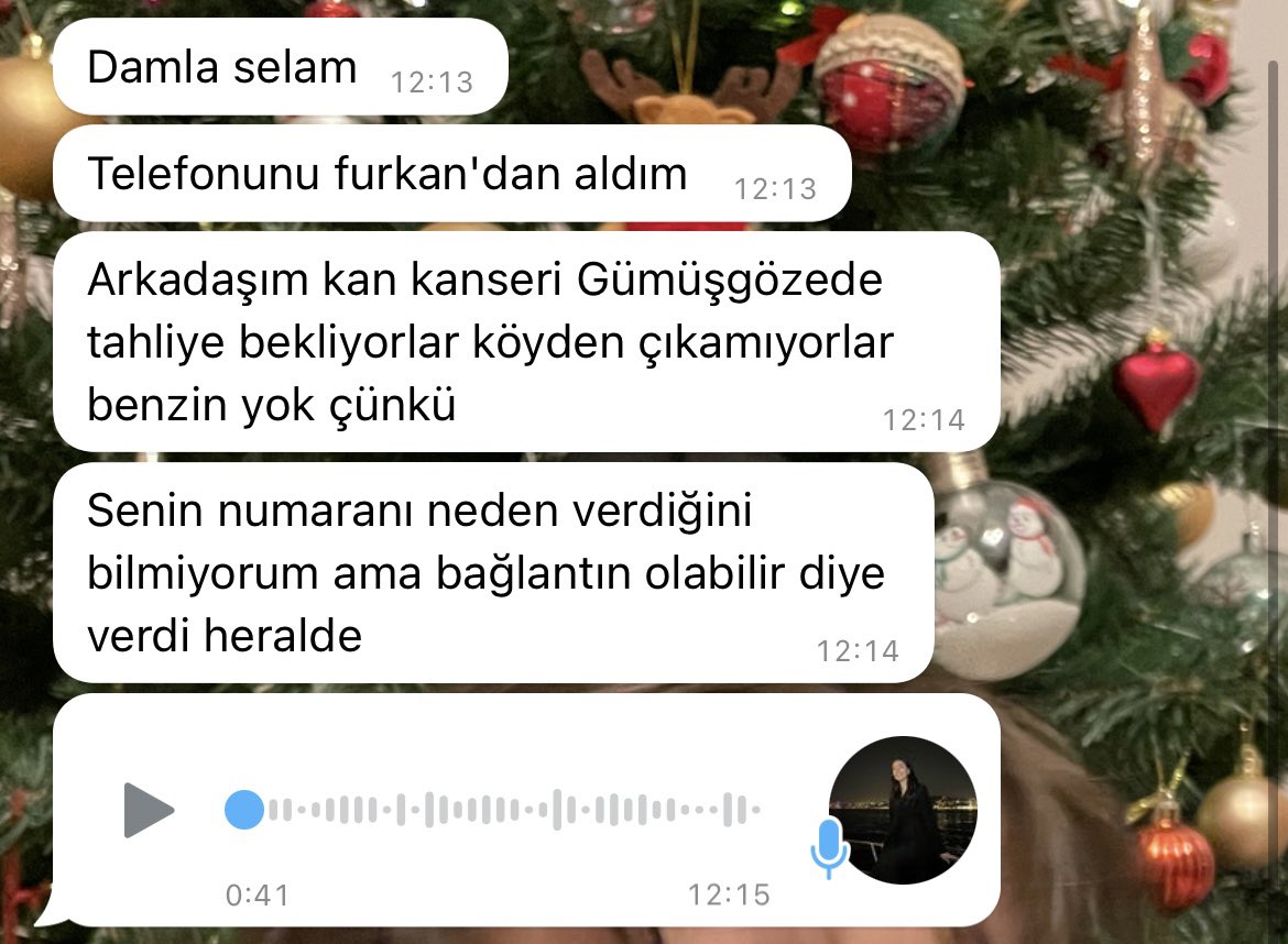 damla tweet media