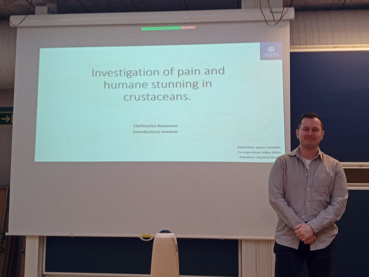 Lynne Sneddon tweet media