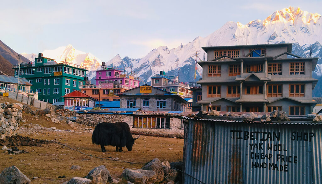 Entering Kyanjin Gumba (3870m) via Langtang Valley:

During the #Langtang #Valley #Trek, you'll witness view of the valley and the mountains constantly changing but always incredibly beautiful.

#LangtangValleyTrekking #KyanjinGumba #TrekkinginNepal #VisitNepal #Spring2023 #Nepal