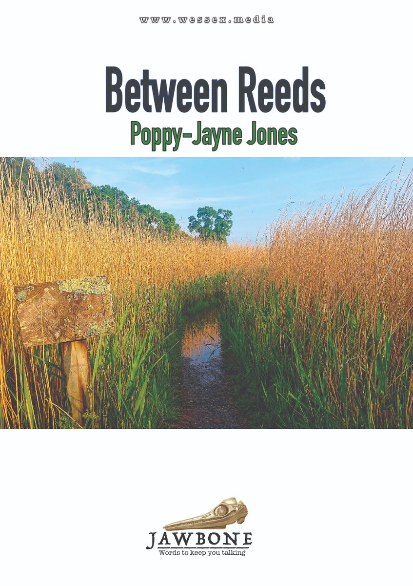 Two new Devon Poets coming to The Jawbone Collective before the end of February. #TheJawboneCollective #poetry #JawboneOnline #WessexMedia