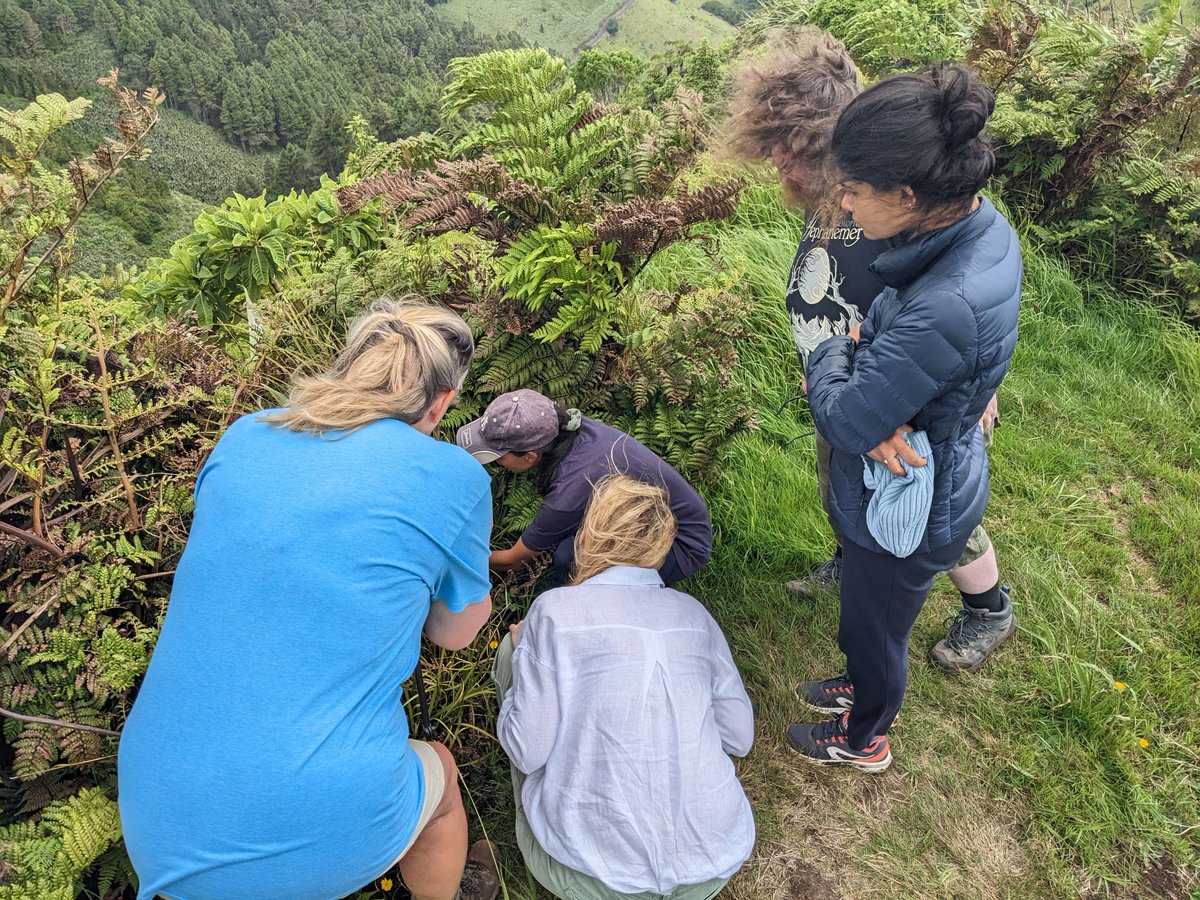 St Helena Peaks National Park tweet media