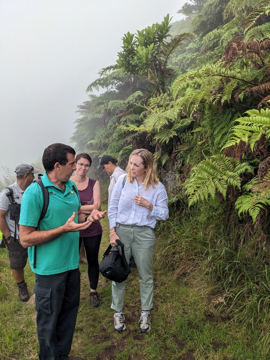 St Helena Peaks National Park tweet media