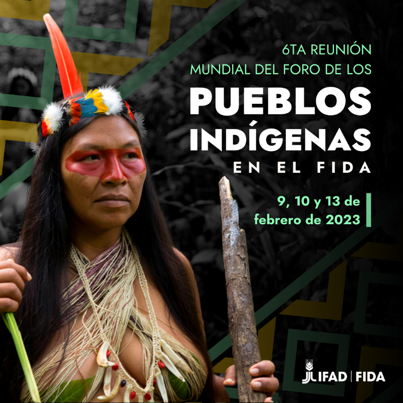 IFADespanol's tweet photo. 🙌 ¡Iniciamos la 6ª reunión mundial del Foro de los Pueblos Indígenas en el FIDA!

Únase a nosotros para celebrar el liderazgo climático de los Pueblos Indígenas y debatir su papel único en la mejora de la resiliencia y la biodiversidad.

Siga el evento aquí ⤵️