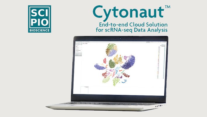📢 Cytonaut release v1.3.0 is out! 📊
Your best tool for #singlecell analysis, the Cytonaut Cloud Software, is constantly evolving to accommodate more features and accelerate your path to biological data from your study.
Test the software for free at cytonaut-scipio.bio!