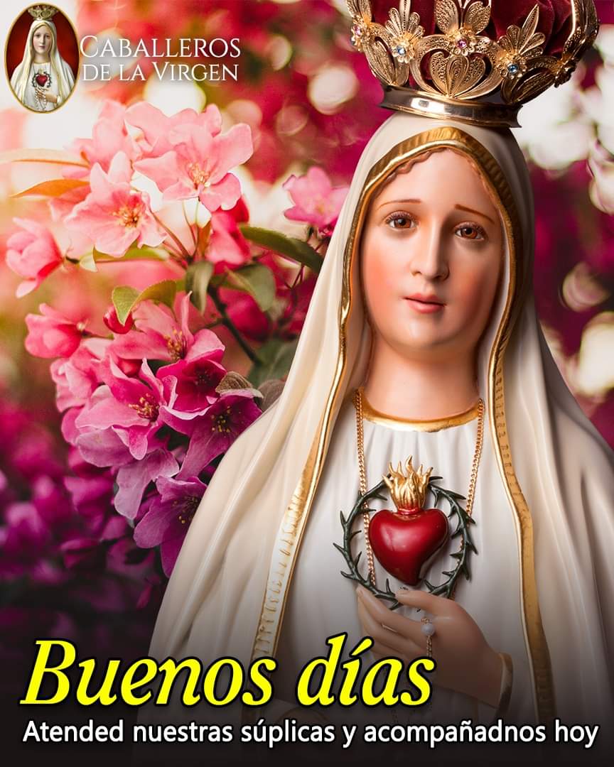 RuizHurtadoRE's tweet photo. ¡Buenos Días!⁣⁣
De tu dulce mirada, oh Madre Santísima llegan todas las gracias de Dios, #Atended por favor, nuestras súplicas y #Acompañadnos hoy. https://t.co/B89A95UUHr