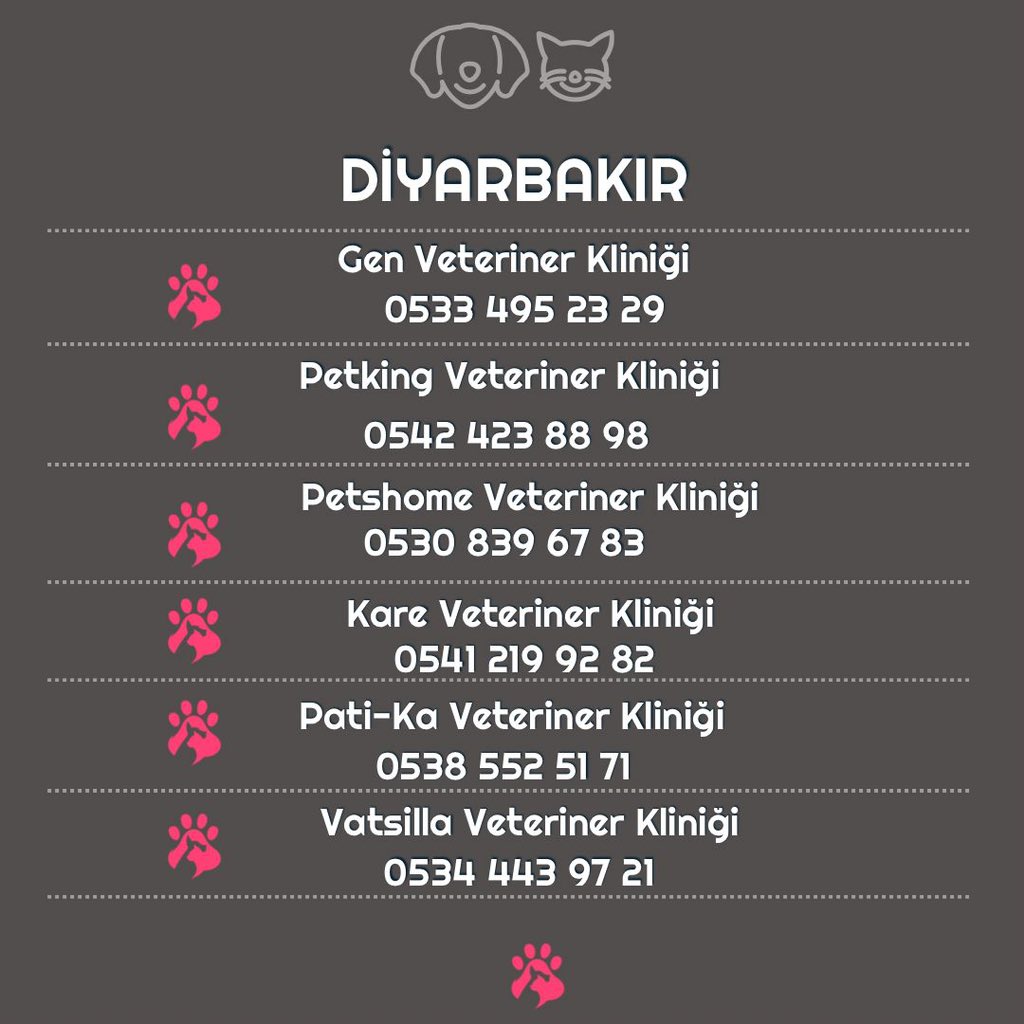 Deprem bölgelerindeki hayvanları ücretsiz tedavi eden klinikler.