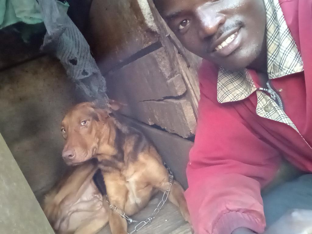 managerMark4's tweet image. Got from streets  but I want to start home for homeless dogs who iz gona support me