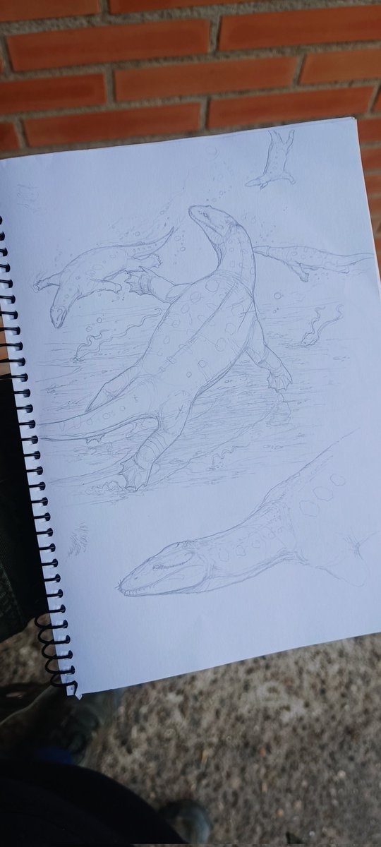 AdriSuchoBlaink's tweet photo. ✍️ bocetito a lápiz del nothosaurio #Simosaurus
Petición que no olvido de @Carlosdino88 ☺️ https://t.co/SZWxYOiCQi