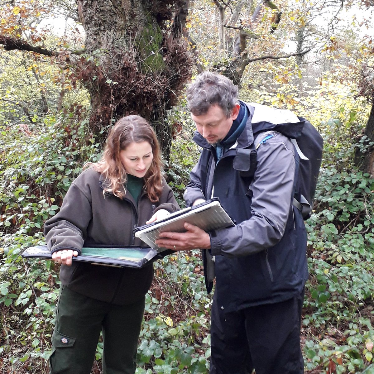 CityCommons's tweet photo. An exciting apprenticeship opportunity has arisen working with the Ashtead Common team in Surrey. You'll be helping to manage this fantastic NNR, developing skills and experience as an Apprentice Countryside Ranger. For more details and to apply, visit https://t.co/ZmO9Y7Xbdk https://t.co/X1J5c7ayQS