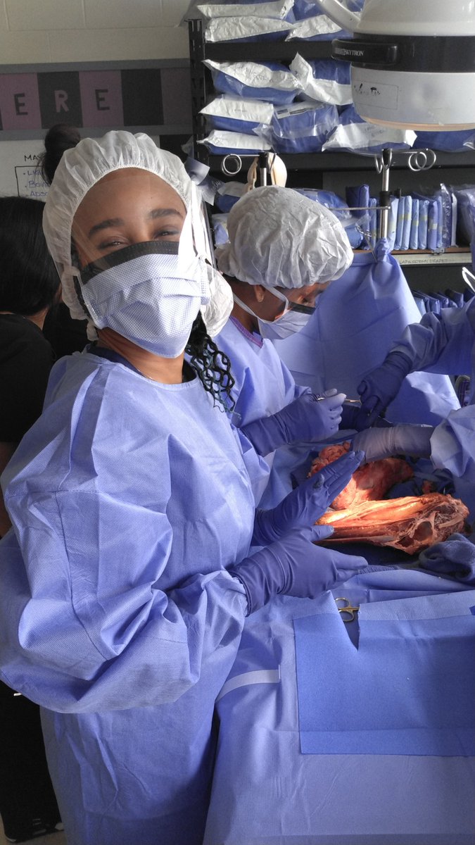 kevin_thomas82's tweet photo. Surgical Tech @delcastle_ths  students practicing their skills while dissecting a cow's head. From theory to hands-on practice this is how students learn and why #NCCVTWORKS  @drcomegys @NCCVoTech #Delcastle @Supt_Jones https://t.co/8tN1OGOYN8