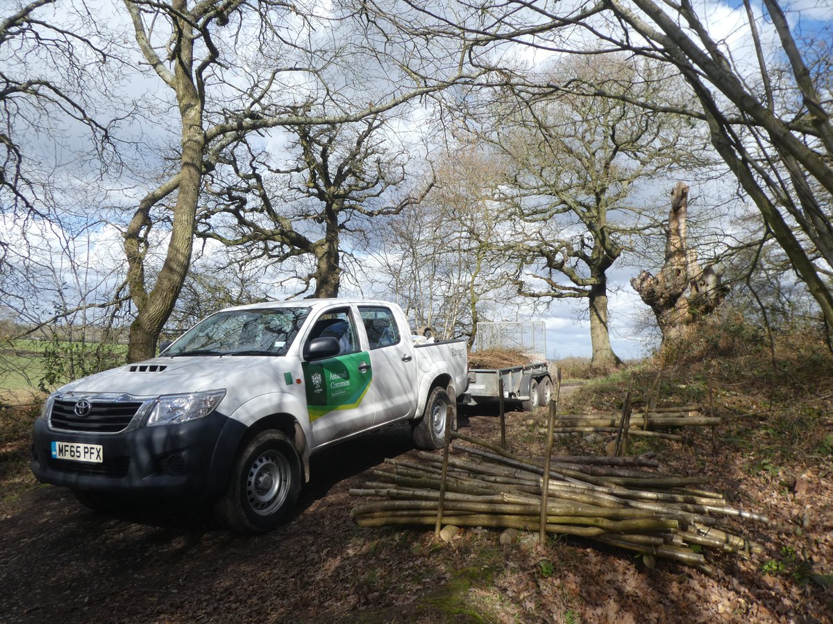 CityCommons's tweet photo. An exciting apprenticeship opportunity has arisen working with the Ashtead Common team in Surrey. You'll be helping to manage this fantastic NNR, developing skills and experience as an Apprentice Countryside Ranger. For more details and to apply, visit https://t.co/ZmO9Y7Xbdk https://t.co/X1J5c7ayQS