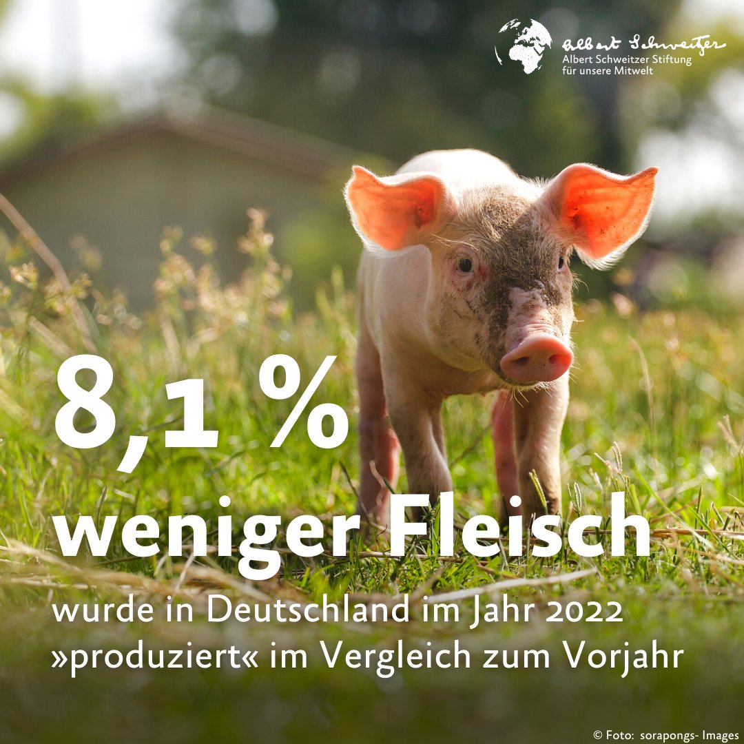 Die Zahl der getöteten Tiere in Deutschland ist im vergangenen Jahr erneut gesunken. 🥳
Dennoch wurden noch immer über 752 Millionen Tiere geschlachtet.
Lasst uns gemeinsam dafür sorgen, dass die Zahl auch in diesem Jahr wieder ordentlich sinkt! 💪 
destatis.de/DE/Presse/Pres…