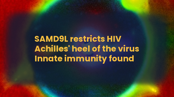 RandompileVideo's tweet photo. Preprint on #bioRxiv: https://t.co/BxJ4IEW3Vq
Please support us by donating your free OpenAI key 🙏
#haiku #gpt3 #stablediffusion #hiv #samd9l https://t.co/hbUZkorC33