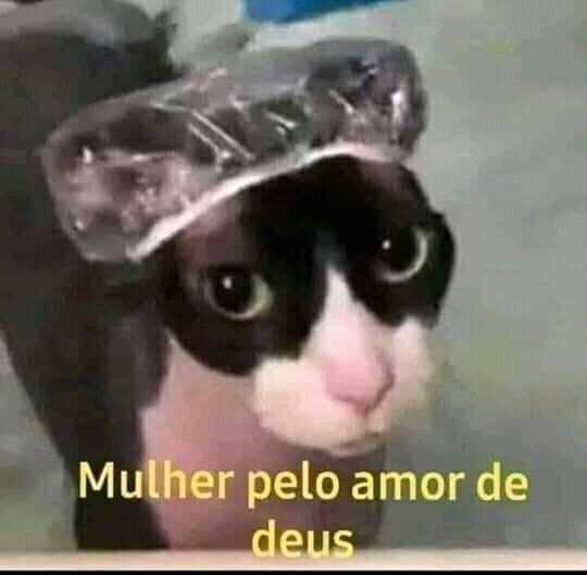 meamanda__'s tweet photo. INEP: sua média no enem é 620

SISU: escolha um curso

EU: psicologia 

SISU: https://t.co/RnaxCVVTlA