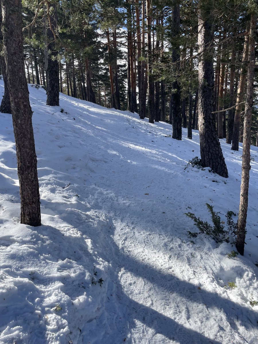 Precioso sendero y vistas ❄️❄️ ⁦<a href="/HBSTORREJON/">Humanitas Torrejón</a>⁩