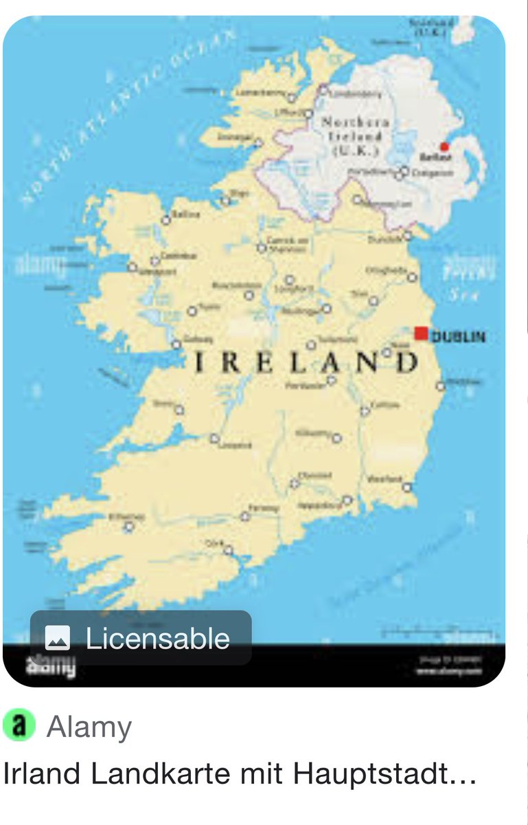 anton newcombe tweet media