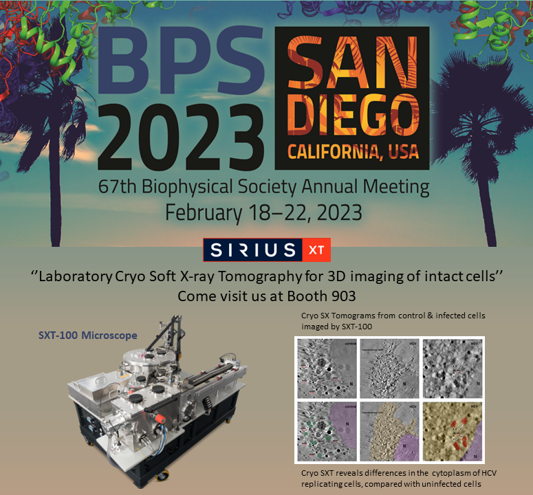 SiriusXT_Ltd's tweet photo. Lab based Soft X-ray microscope @BiophysicalSoc annual meeting 2023- promoting laboratory cryo soft X-ray tomography for 3D imaging of intact cells.
If you are at #BPS 2023 & want to learn more about our microscope, come visit us at Booth 903
#SXM #SXT #microscope #softxray https://t.co/wHF3FCexLe