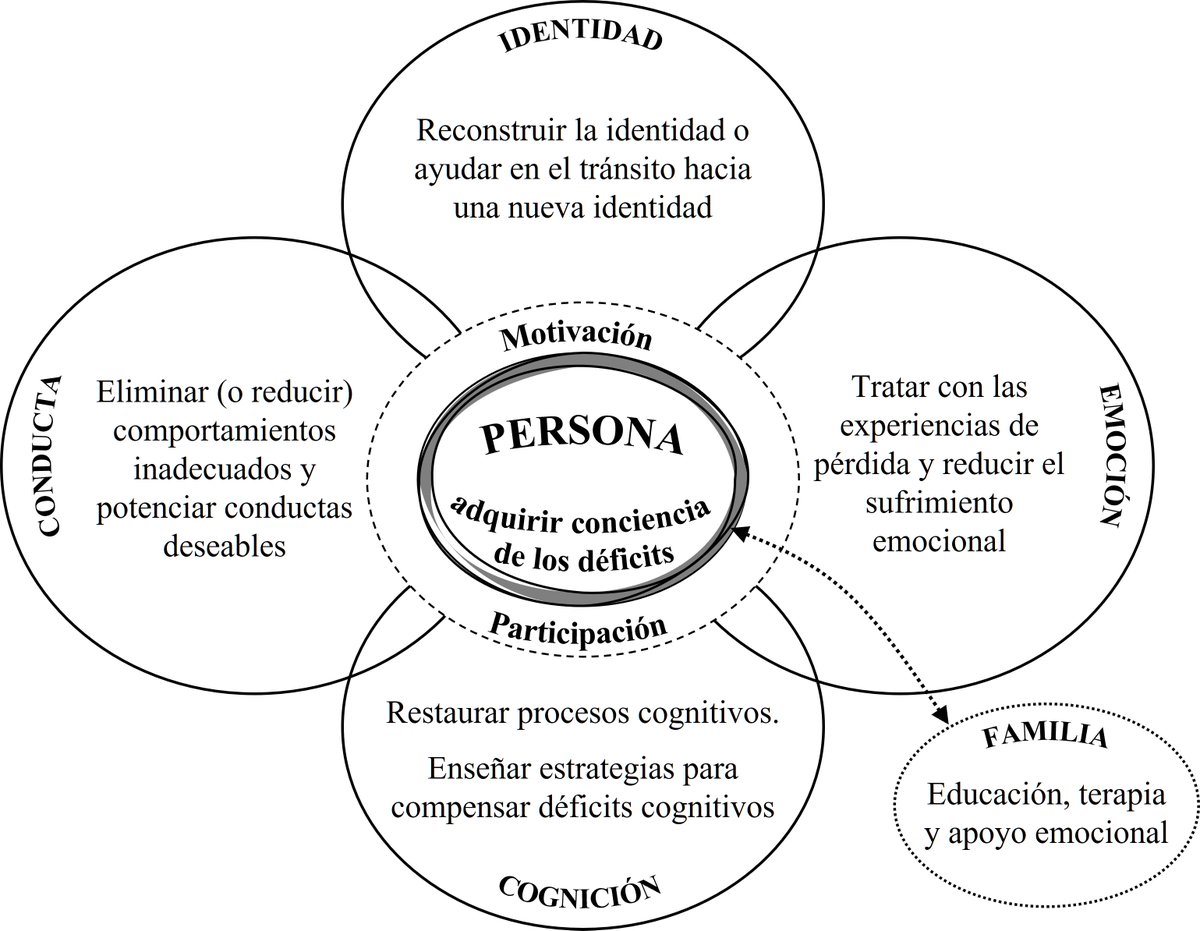 Rhb  cognitiva ≠ Rhb neuropsicológica 

** Propuesta de un modelo integral de rehabilitación neuropsicológica **