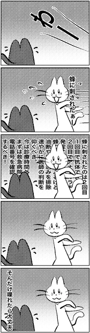 #いわねこ
238 
