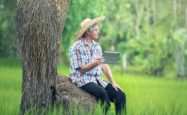 As demonstrated by this article, AgriTech adoption levels vary wildly across different parts of the world, adding another layer of complexity to challenges around the uptake of innovation.

Predictably Europe and Northern America lead the way when it c... tinyurl.com/2xvzeka5