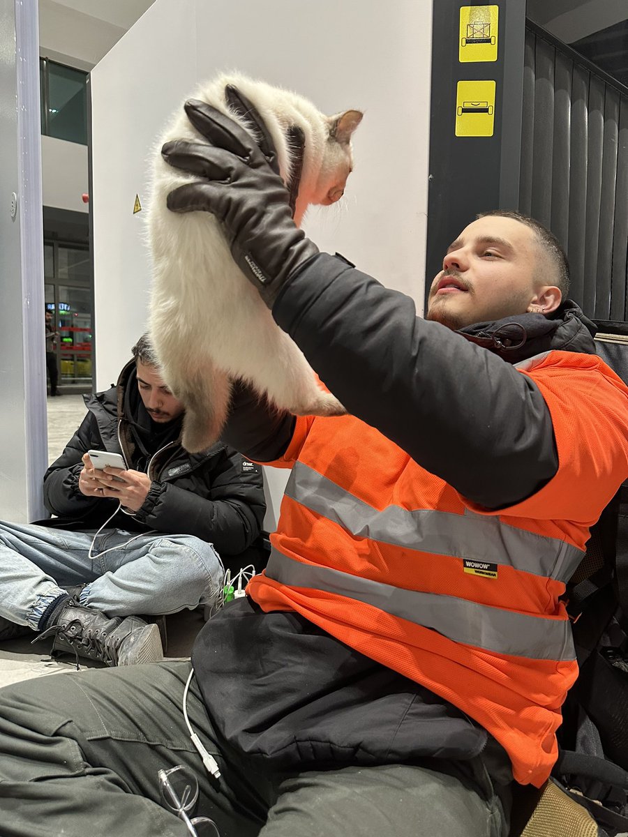 egombilir's tweet photo. sabaha karşı gaziantep’te bir kedi enkazdan çıkartılmış🤍 https://t.co/hQpnhxQOYt