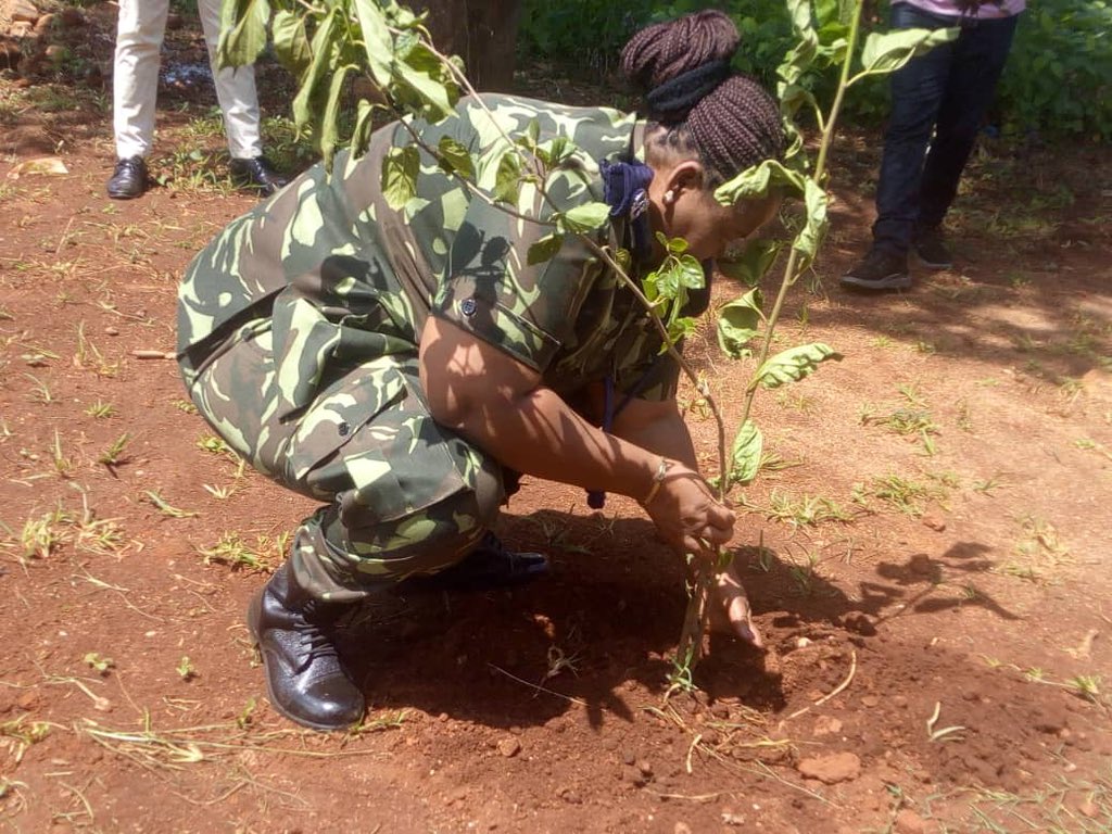 EPM_Limited's tweet photo. In partnership with the Malawi Police Service we have today, Thursday planted 250 tree seedlings at Mulanje Police Station. This is part of 60,000 seedlings that we plan to plant this year. https://t.co/pwkfMIrMFW

#epm
#MalawiTea 
#BetterCommunities https://t.co/5h0DLX6U60