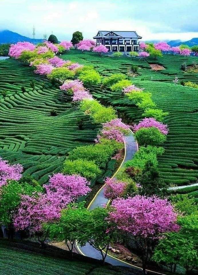 Prof. Federico Heuer tweet media