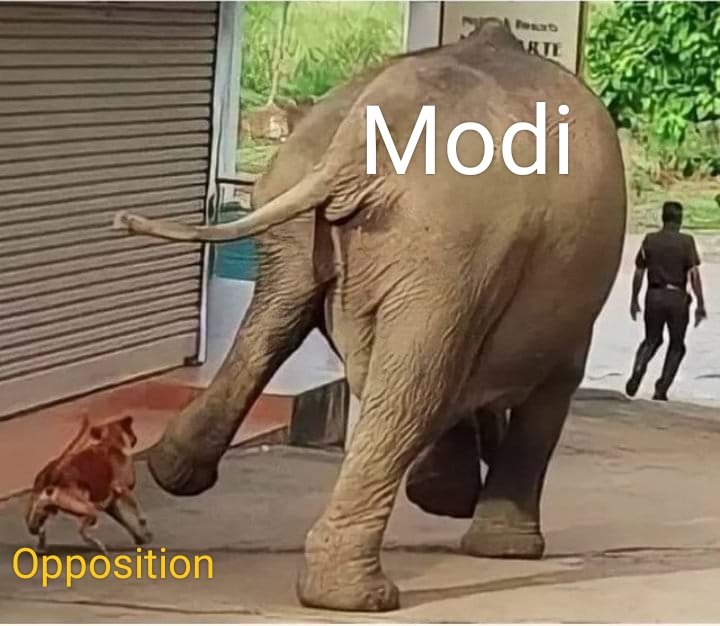 MadhukumarVP1's tweet image. NaMo 🔥

#ModiinLokSabha 
#ModiInRajyaSabha