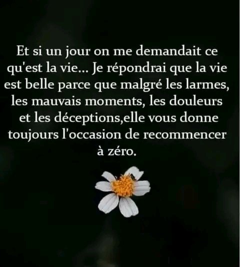 namedebrice's tweet photo. https://t.co/LO8J2jsWqo