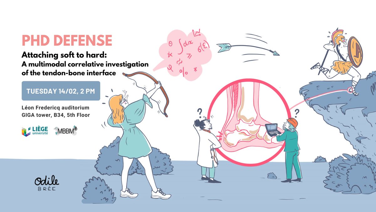 This end is near ... Next Tuesday 14/02 at 2pm, I'll defend publicly my PhD thesis, supervised by <a href="/DaviRuffo/">Davide Ruffoni</a> 🎓 The attachment between two tissues opposed by their essence: name a better way to spend Valentine's day 🤭🌹 More details and link to join here: biomat.uliege.be/cms/c_9950925/…