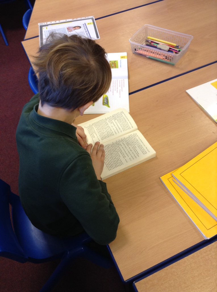 Year 2 tweet media