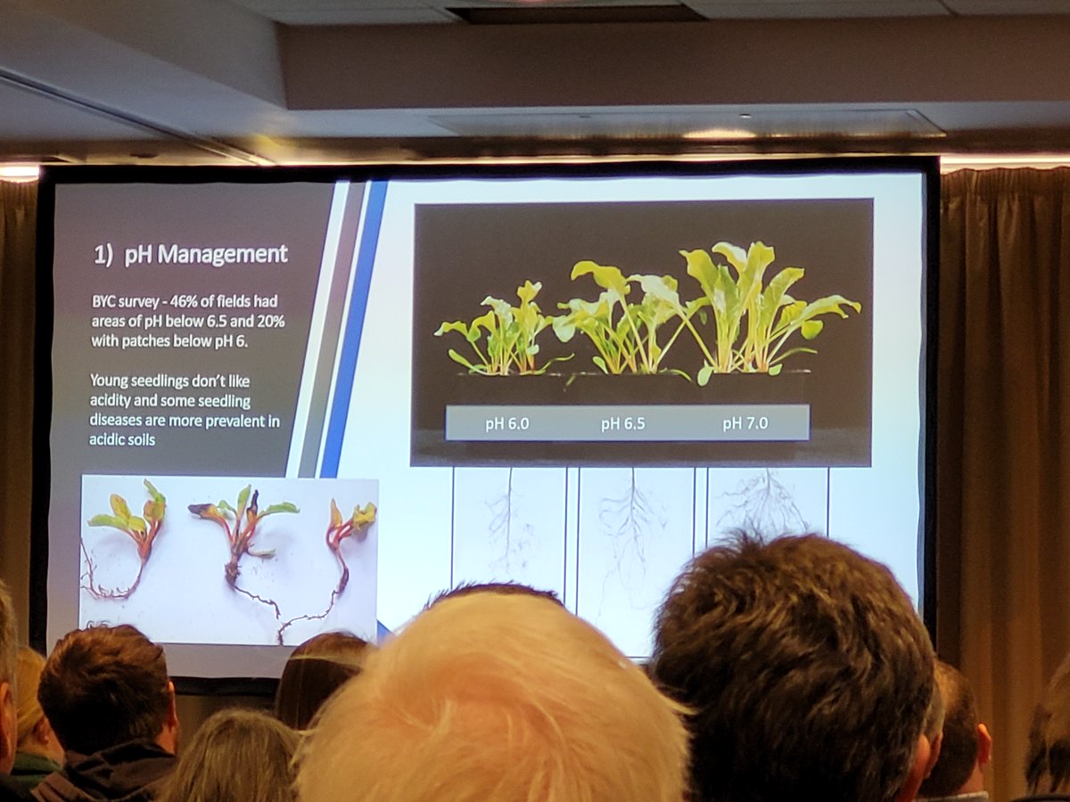 Great to see the importance of pH management showcased by the BBRO! #sugarbeet #agronomy #agriculture