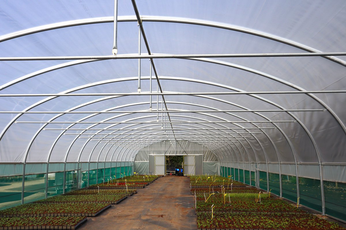 Today is #NationalPlantaFlowerDay - so why not sow those seeds and plant on plugs under the #canopy of our #polytunnels to assist in bettering your flora.

polyhouses.com

#horticulture #polytunnel #growtunnel #plantnurseries