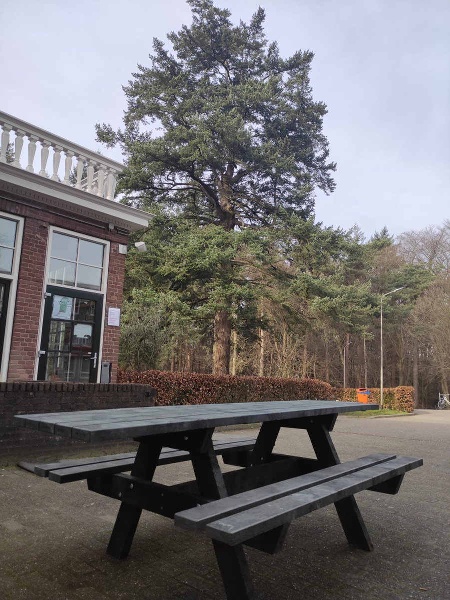 AzcLeersum's tweet photo. Van de @gem_heuvelrug deze mooie picknicktafel een leuke plek mogen geven op ons #azcLeersum. Hartelijk bedankt! @BigaGroep 
#COA #AZC #Leersum https://t.co/FFul1GdjtD