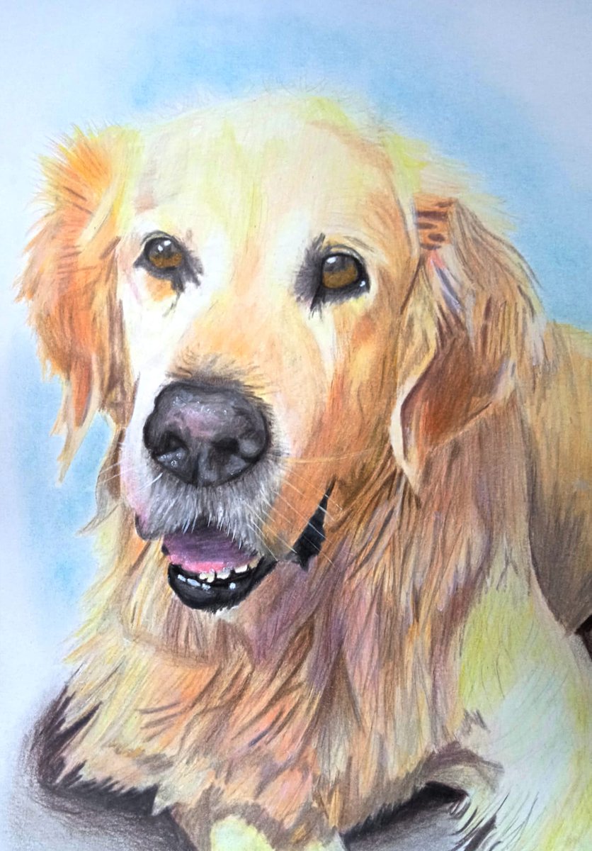 baxdraws's tweet photo. Bady
Pencil color
.
.
.
#portrait #ilustracion #dog #perros #drawing #draw #picture #color #pet #art #realistic #dogsofinstagram #retrato #perro #painting
#pencildrawing #pencil #pencilart https://t.co/cO2CmX3GCD