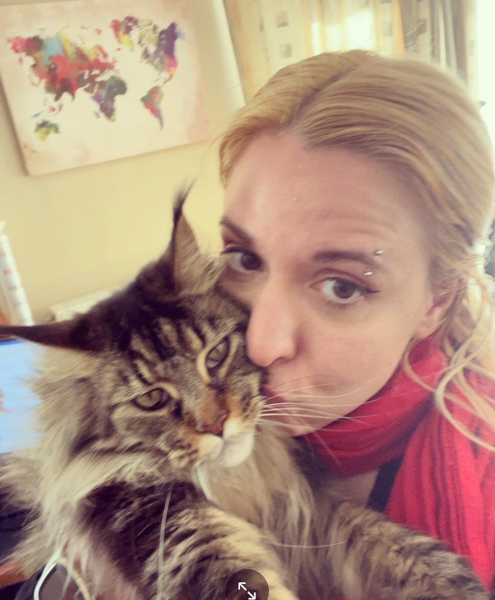 Smooch of the day #mainecoonlove