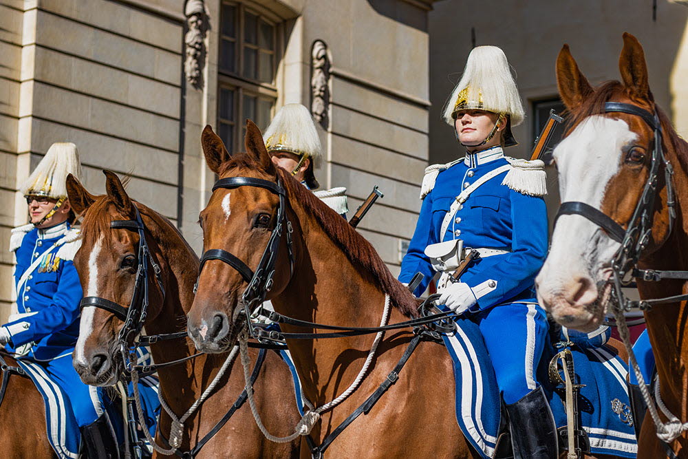 Just nu söker Livgardet skyttesoldater och beridna högvakter. Som skyttesoldat eller beriden högvakt på Livkompaniet är ceremoniella uppdrag din huvuduppgift. 

Läs mer i annonsen och ansök i dag:
jobb.forsvarsmakten.se/sv/ledigajobb/…