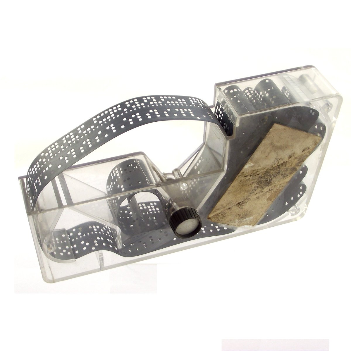 Present & Correct tweet media