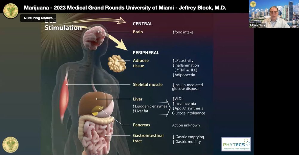 nurturingnat1's tweet photo. #Marijuana - 2023 Medical Grand Rounds University of Miami  - Jeffrey Block, M.D.

https://t.co/csVdcFdzlR https://t.co/67uIrg8nLZ