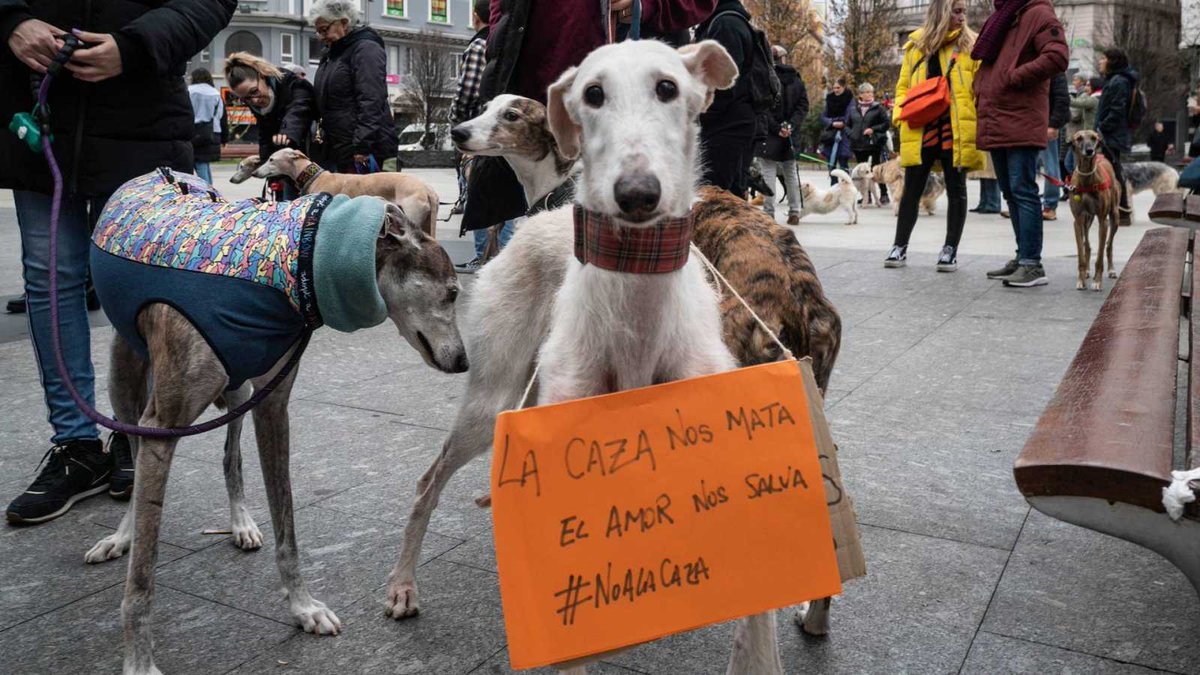 PoliticayModa's tweet photo. El PSOE no incluye a los perros de caza en la ley de bienestar animal porque perderían votos del campo y Podemos finalmente lo pasa por alto para no tener otro enfrentamiento dentro del gobierno. 

Y así con todo... #queosden https://t.co/EehDggciWV