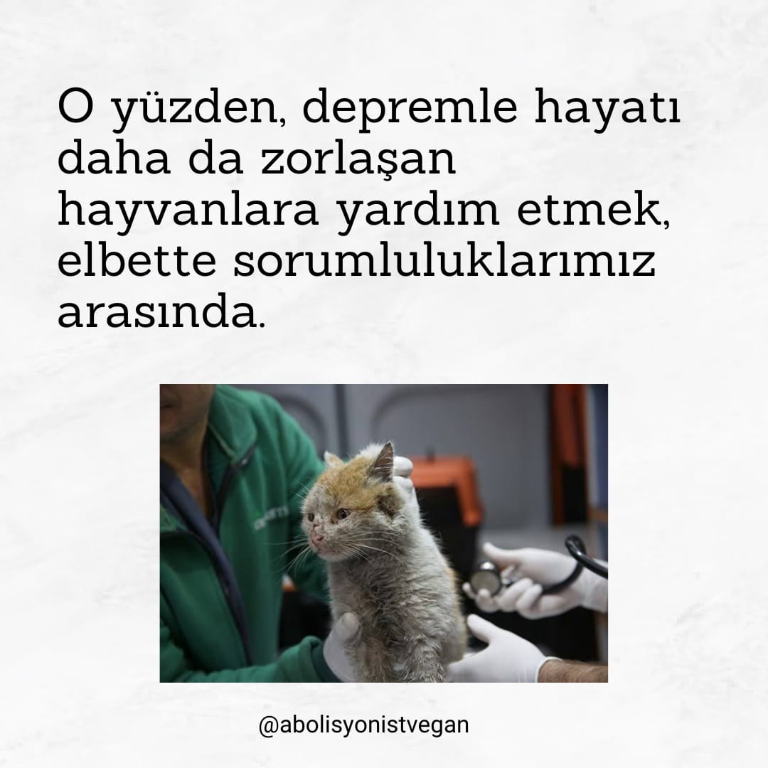 VeganAbolisyon's tweet photo. Depremde zarar gören hayvanlar da tıpkı insanlar gibi, hepimizin sorumluluğunda. İnsanlar için var gücümüzle yürüttüğümüz seferberlik hayvanları da kapsamalı. https://t.co/zN7rj9wyxO