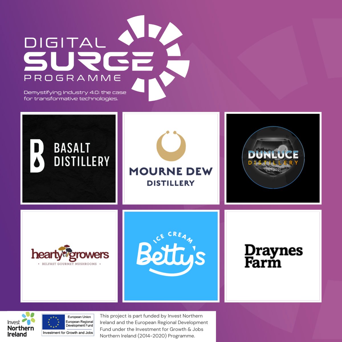 SurgeProgramme's tweet image. Some of the fantastic local food &amp; drink producers taking part in the Digital Surge Programme. 6 days of fully funded mentoring for companies across NI &lt;50 employees. Application process closing soon! Apply today bit.ly/3MB2QYZ