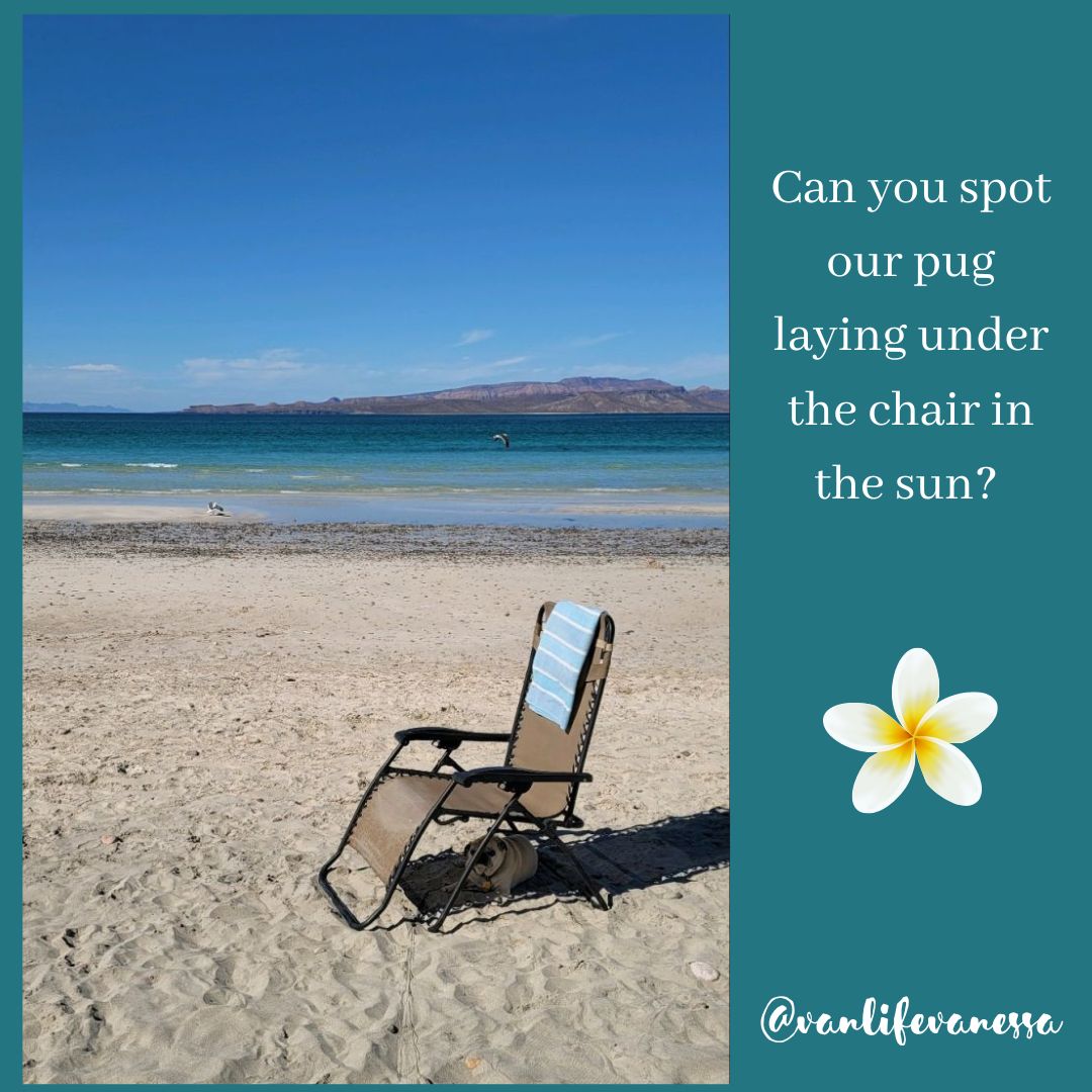 VanLifeVanessa's tweet image. 🐶 

Can you spot our pug laying under the chair in the sun? 

Afraid, Afraid, Afraid.  🙆‍♀️🙆‍♂️🙆‍♀️🙆‍♂️

Are you tired of feeling afraid?

It doesn't have to be this way.

#fear #mindset #positiveintelligence
#vanlifegirlcoach #resetwithvanessa