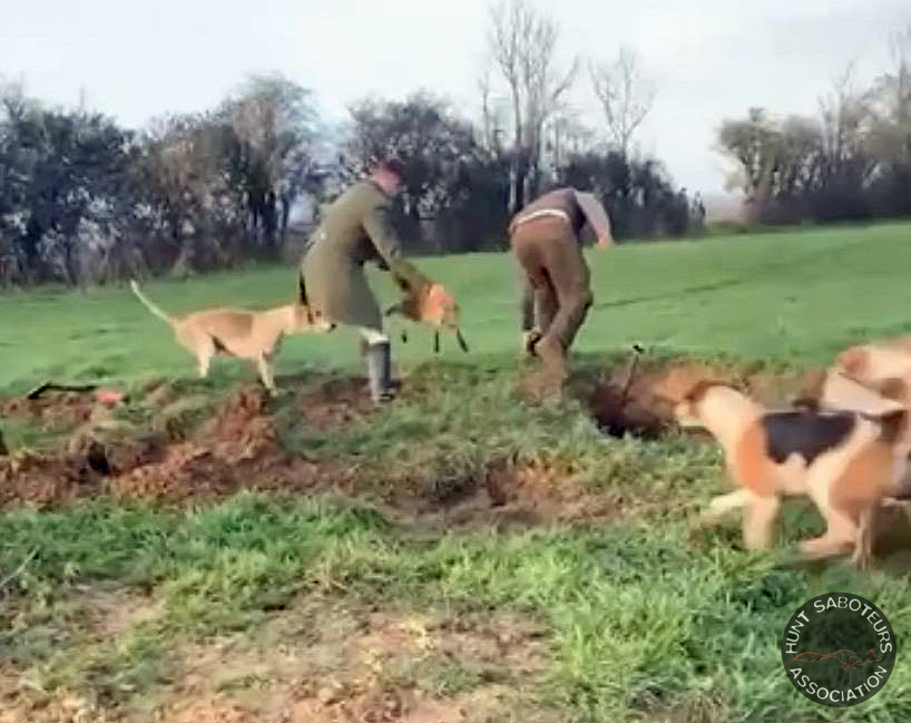 HsaChair's tweet photo. If the Police do not prosecute the Avon Vale fox killers I would be up to fund raise for a private prosecution.  Who would support me? @rupertevelyn @domdyer70 @ChrisGPackham  @DrBrianMay https://t.co/KlXIAZMWd6