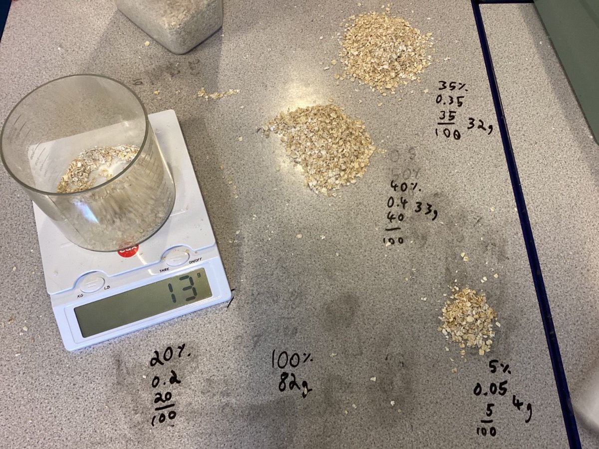 Malpas CiW Primary tweet media