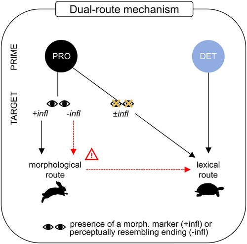 FriedericiLab (@friedericilab) on Twitter photo 🆕📰New paper by <a href="/PyatigorskayaEl/">Elena Pyatigorskaya</a>, <a href="/MatteoMaran91/">Matteo Maran</a> & <a href="/e_zaccarella/">Emiliano Zaccarella</a>:
They show that humans automatically extract syntactic features from context and challenge the claim of facilitative predictive processing in the syntactic domain.
Read here (#openaccess): tandfonline.com/doi/full/10.10… 🆕📰New paper by <a href="/PyatigorskayaEl/">Elena Pyatigorskaya</a>, <a href="/MatteoMaran91/">Matteo Maran</a> & <a href="/e_zaccarella/">Emiliano Zaccarella</a>:
They show that humans automatically extract syntactic features from context and challenge the claim of facilitative predictive processing in the syntactic domain.
Read here (#openaccess): tandfonline.com/doi/full/10.10…